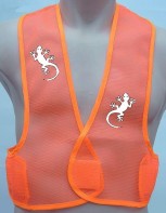 gecko front orng